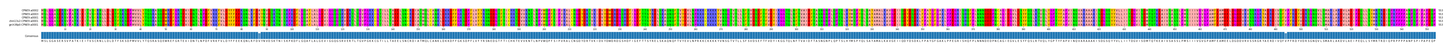 Multiple Alignments (by translate haplotype similarity)