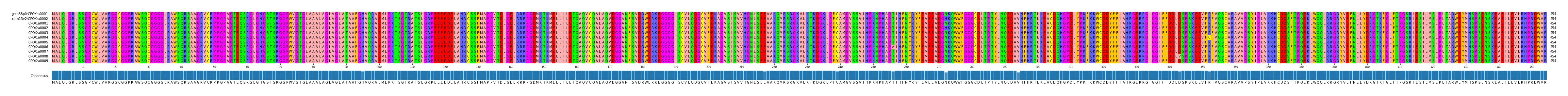 Multiple Alignments (by translate haplotype frequency)