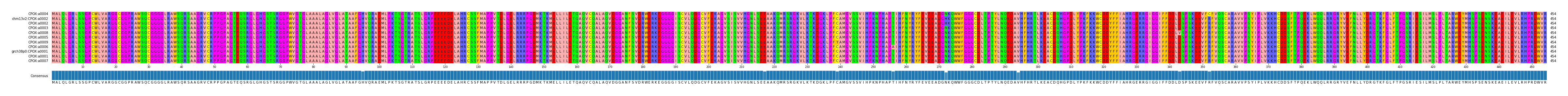 Multiple Alignments (by translate haplotype similarity)