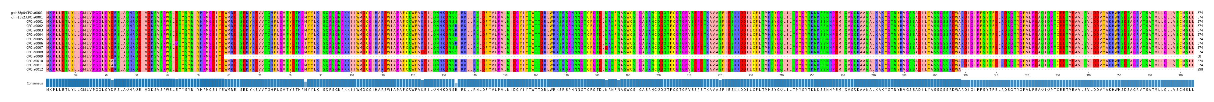Multiple Alignments (by translate haplotype frequency)
