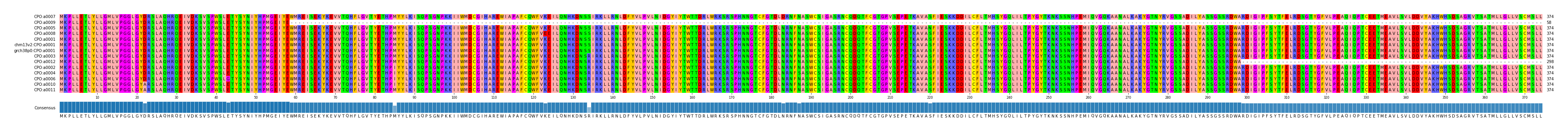 Multiple Alignments (by translate haplotype similarity)