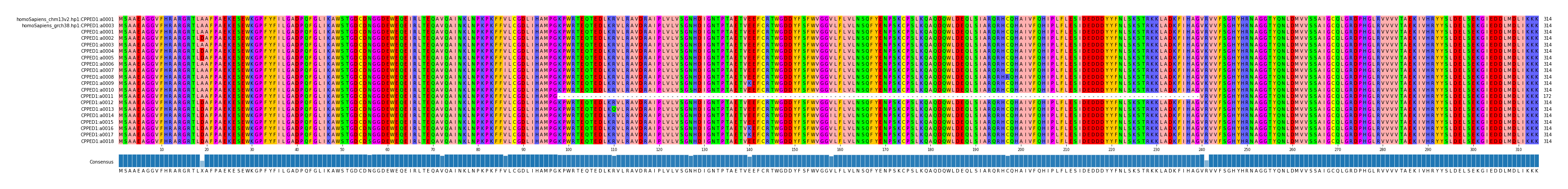 Multiple Alignments (by translate haplotype frequency)