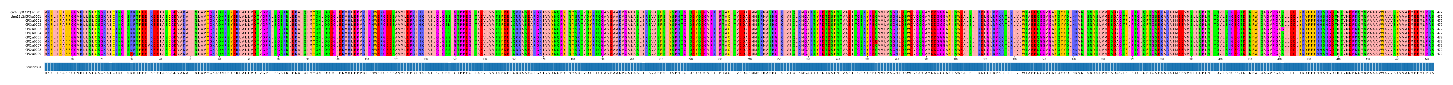 Multiple Alignments (by translate haplotype frequency)