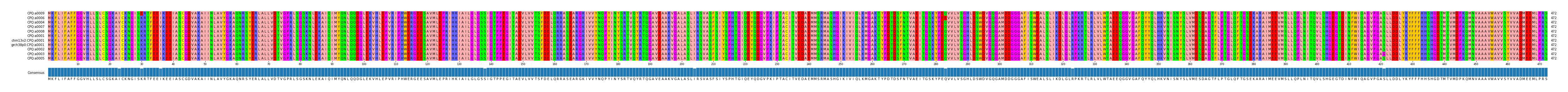 Multiple Alignments (by translate haplotype similarity)