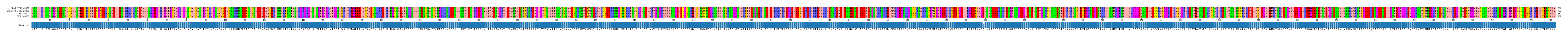Multiple Alignments (by translate haplotype similarity)