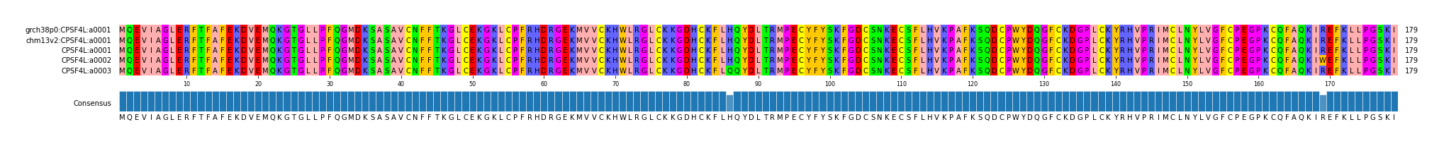 Multiple Alignments (by translate haplotype frequency)