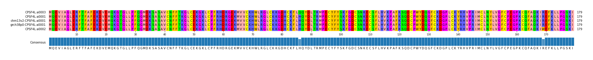 Multiple Alignments (by translate haplotype similarity)