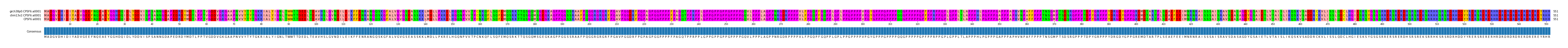 Multiple Alignments (by translate haplotype similarity)