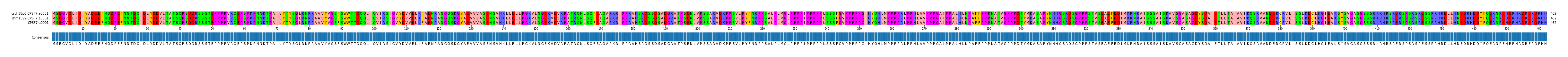 Multiple Alignments (by translate haplotype similarity)
