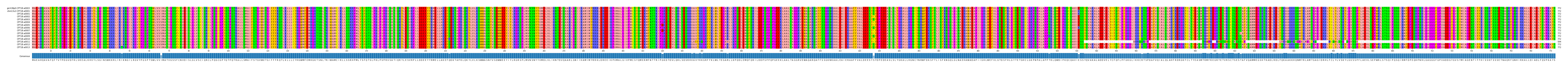 Multiple Alignments (by translate haplotype frequency)