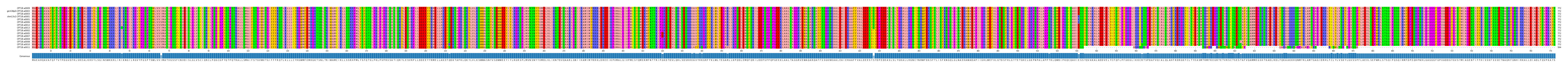 Multiple Alignments (by translate haplotype similarity)