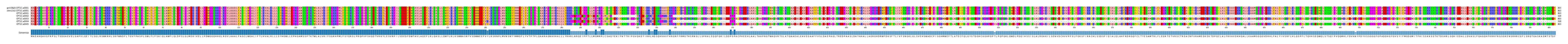 Multiple Alignments (by translate haplotype frequency)