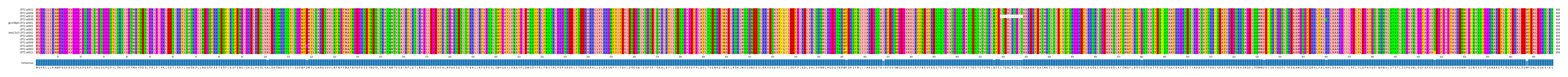 Multiple Alignments (by translate haplotype similarity)