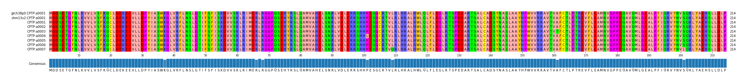 Multiple Alignments (by translate haplotype frequency)