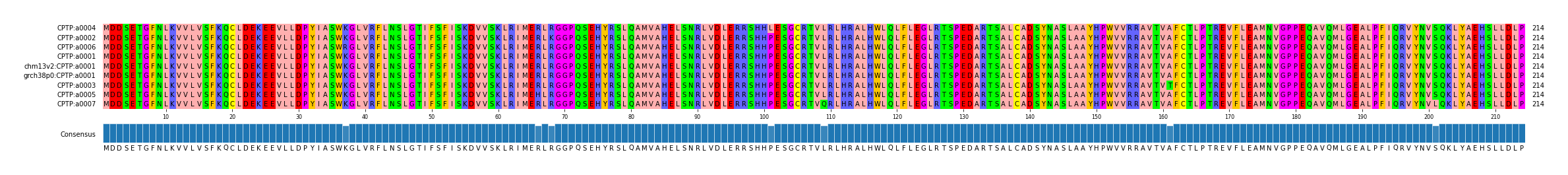 Multiple Alignments (by translate haplotype similarity)