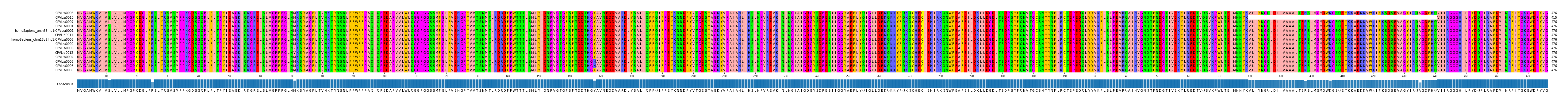 Multiple Alignments (by translate haplotype similarity)
