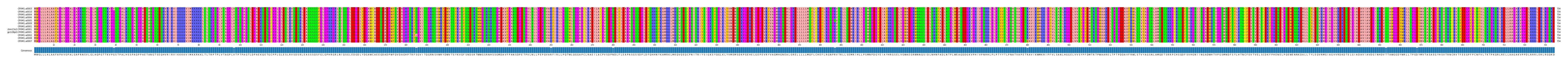 Multiple Alignments (by translate haplotype similarity)