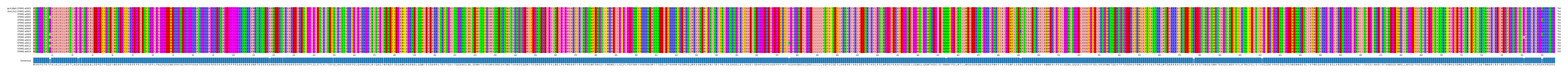 Multiple Alignments (by translate haplotype frequency)