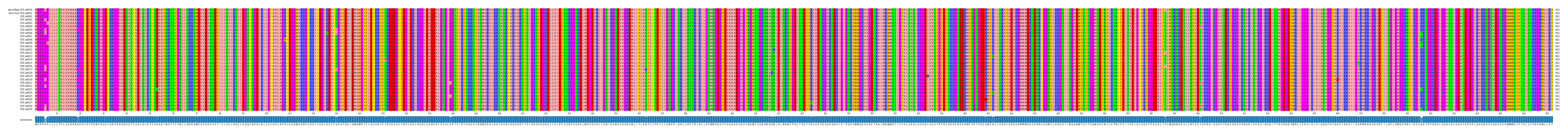 Multiple Alignments (by translate haplotype frequency)