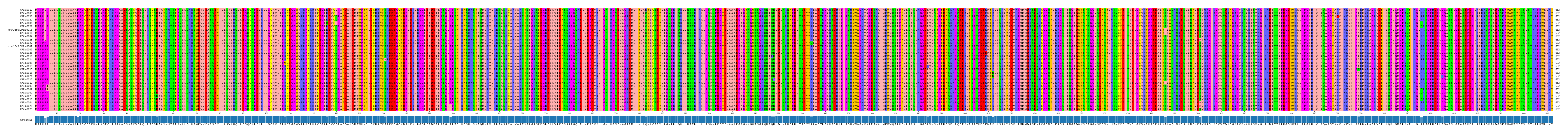 Multiple Alignments (by translate haplotype similarity)