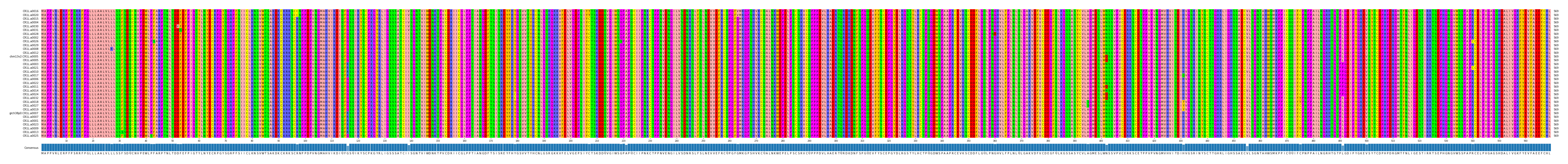 Multiple Alignments (by translate haplotype similarity)