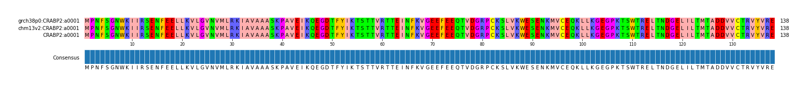 Multiple Alignments (by translate haplotype frequency)