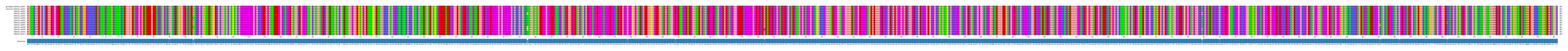 Multiple Alignments (by translate haplotype frequency)
