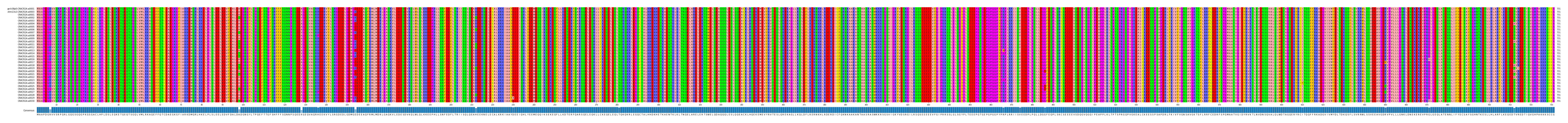 Multiple Alignments (by translate haplotype frequency)
