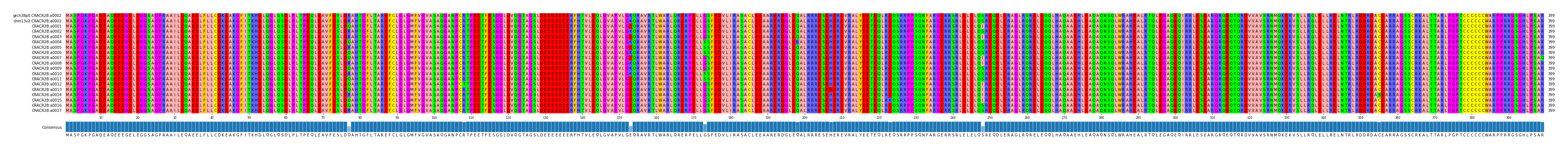 Multiple Alignments (by translate haplotype frequency)