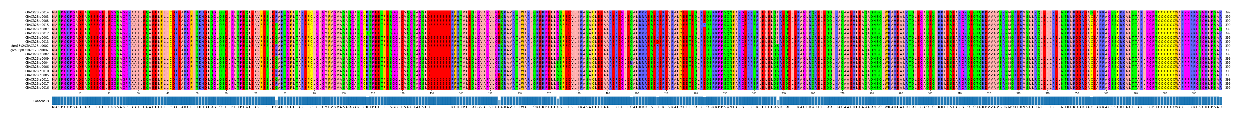 Multiple Alignments (by translate haplotype similarity)
