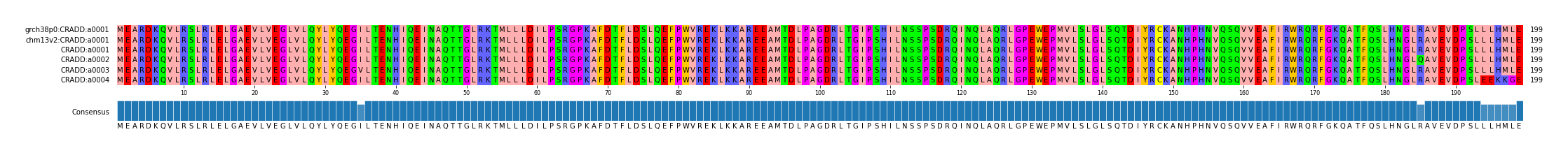 Multiple Alignments (by translate haplotype frequency)