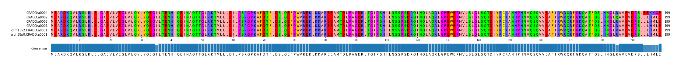Multiple Alignments (by translate haplotype similarity)