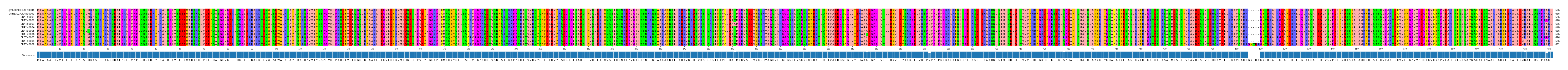 Multiple Alignments (by translate haplotype frequency)