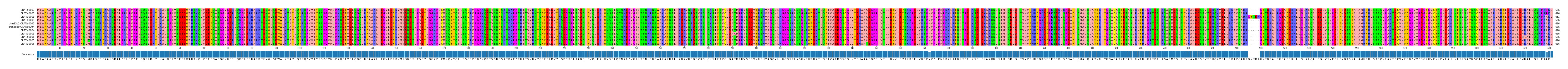 Multiple Alignments (by translate haplotype similarity)