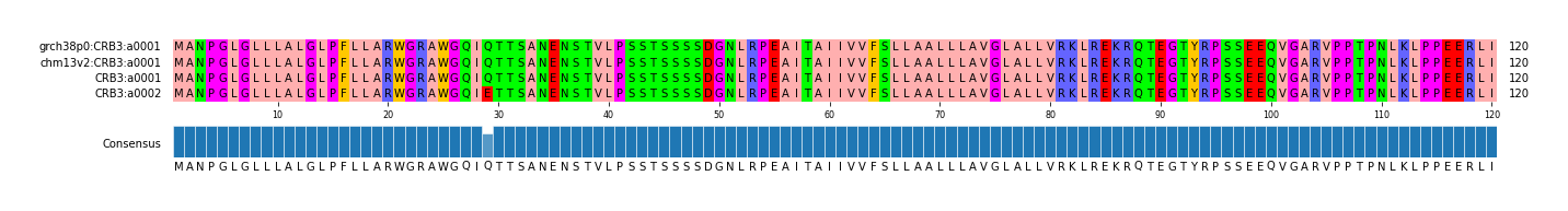 Multiple Alignments (by translate haplotype similarity)
