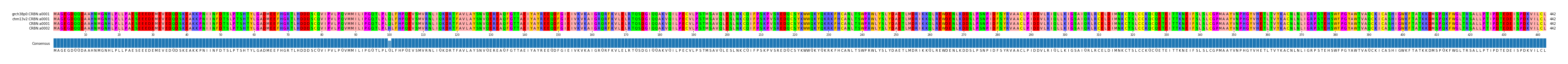 Multiple Alignments (by translate haplotype similarity)