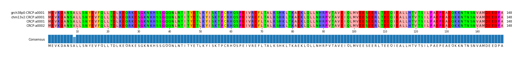 Multiple Alignments (by translate haplotype similarity)