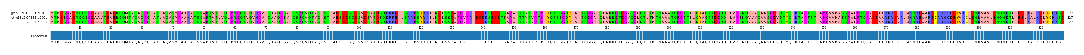 Multiple Alignments (by translate haplotype similarity)