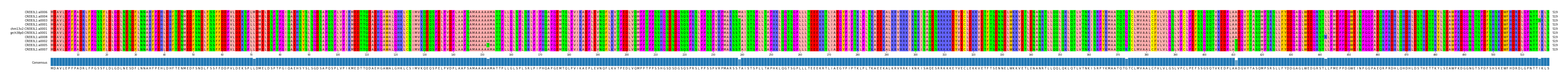 Multiple Alignments (by translate haplotype similarity)