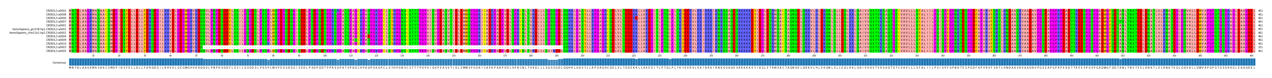 Multiple Alignments (by translate haplotype similarity)
