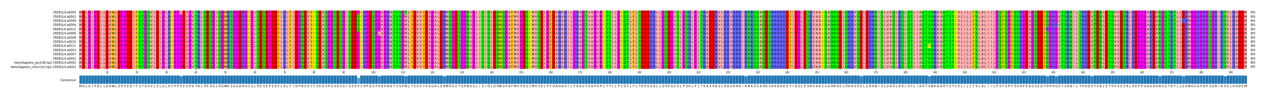 Multiple Alignments (by translate haplotype similarity)