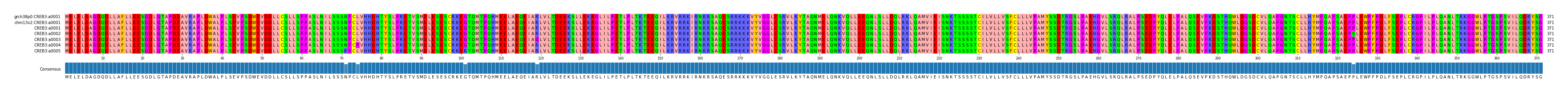 Multiple Alignments (by translate haplotype frequency)
