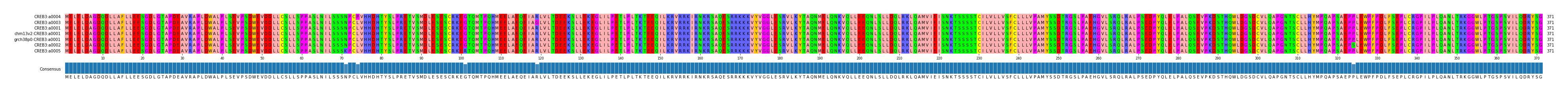 Multiple Alignments (by translate haplotype similarity)
