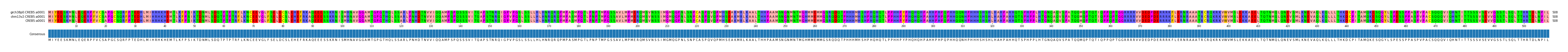 Multiple Alignments (by translate haplotype similarity)