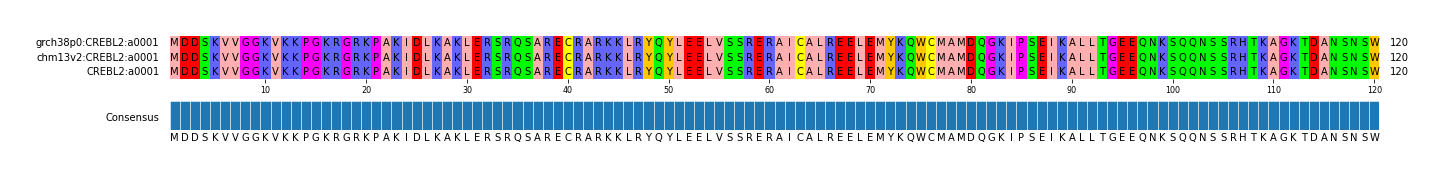 Multiple Alignments (by translate haplotype similarity)