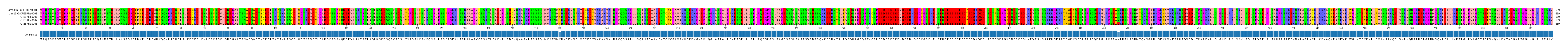 Multiple Alignments (by translate haplotype frequency)