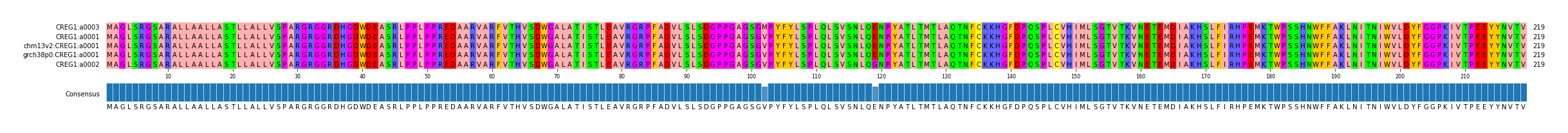 Multiple Alignments (by translate haplotype similarity)