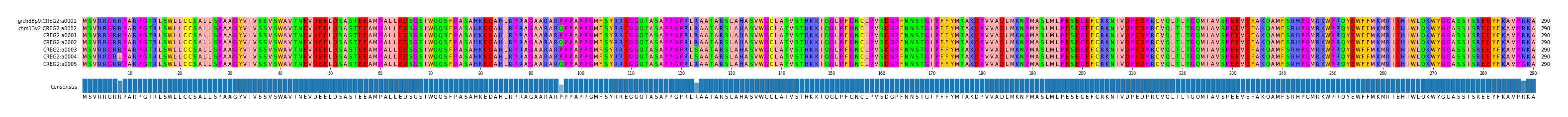 Multiple Alignments (by translate haplotype frequency)