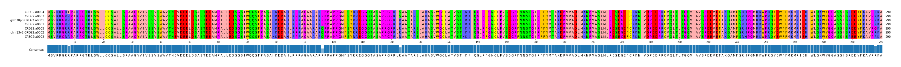 Multiple Alignments (by translate haplotype similarity)