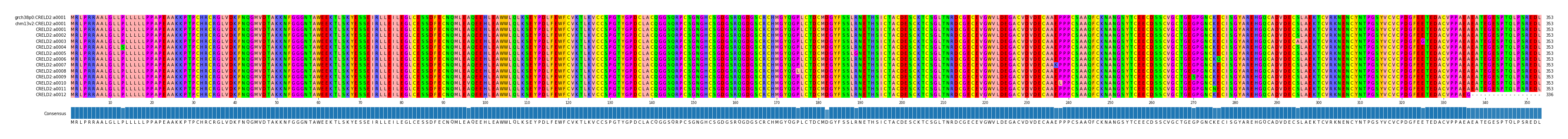 Multiple Alignments (by translate haplotype frequency)